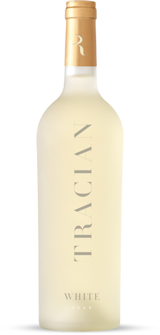 bottle-white-with-shadow
