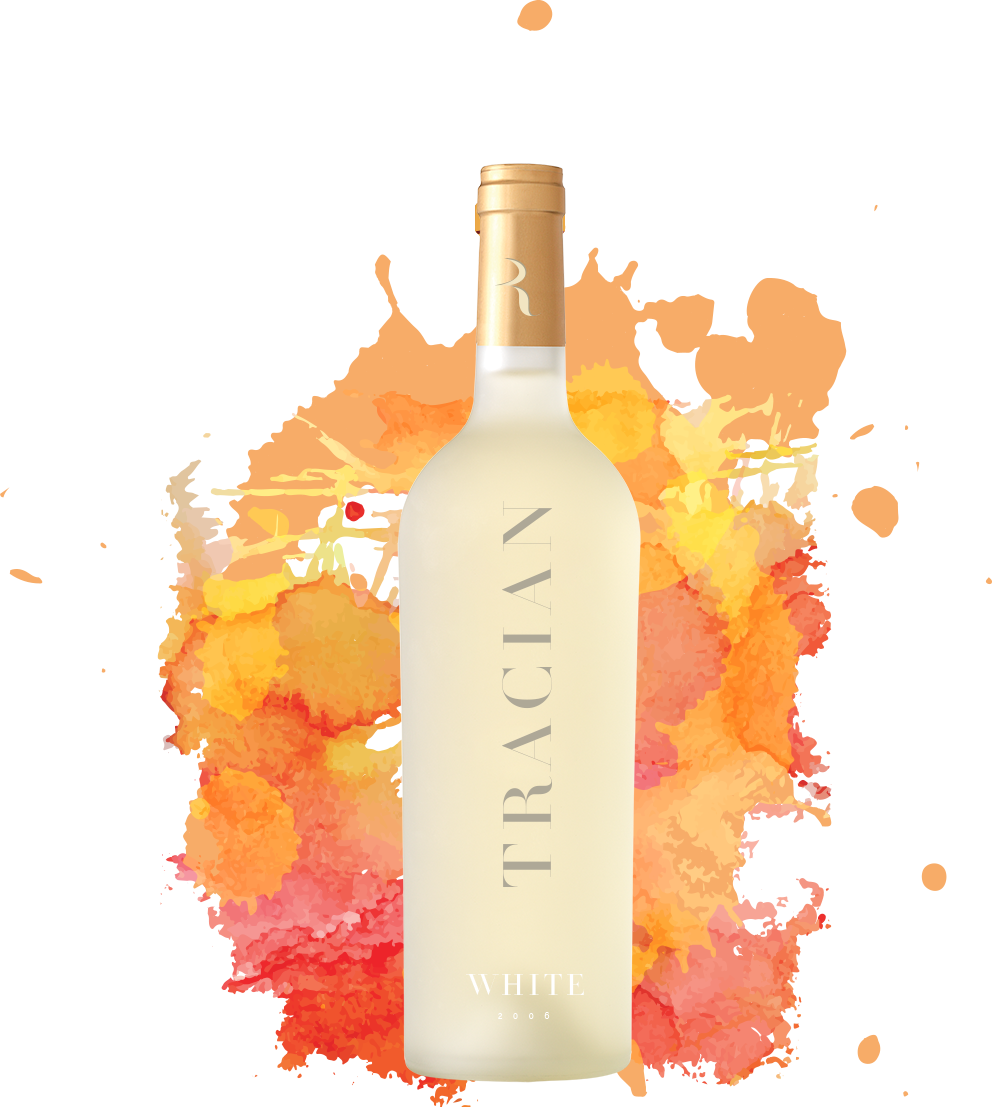 wine-bottle-white-splash